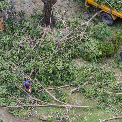 Storm Damage Clean-Up