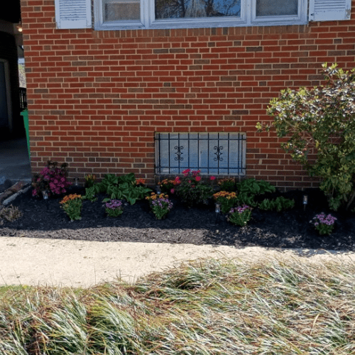 Flower Bed Maintenance